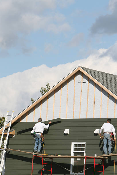 Best Siding for New Construction  in Rock Valley, IA