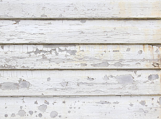 Affordable Siding Repair and Maintenance Services in Rock Valley, IA