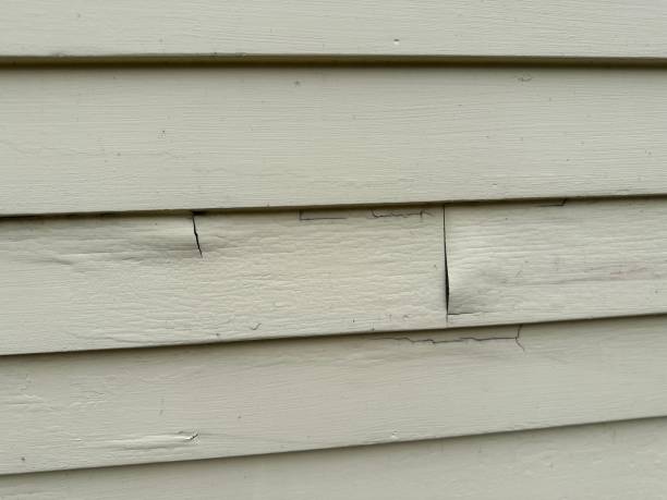 Best Engineered Wood Siding  in Rock Valley, IA